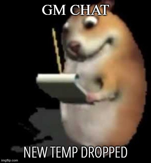 Chomik type | GM CHAT; NEW TEMP DROPPED | image tagged in chomik type | made w/ Imgflip meme maker