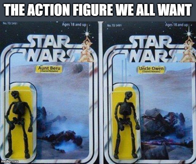 THE ACTION FIGURE WE ALL WANT | image tagged in star wars | made w/ Imgflip meme maker