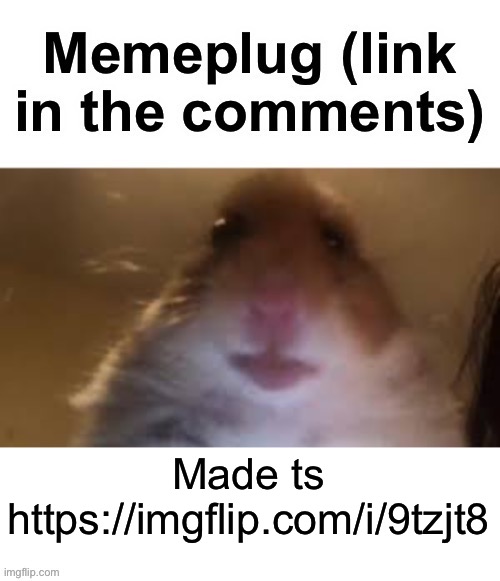 Memeplug | Made ts https://imgflip.com/i/9tzjt8 | image tagged in memeplug | made w/ Imgflip meme maker