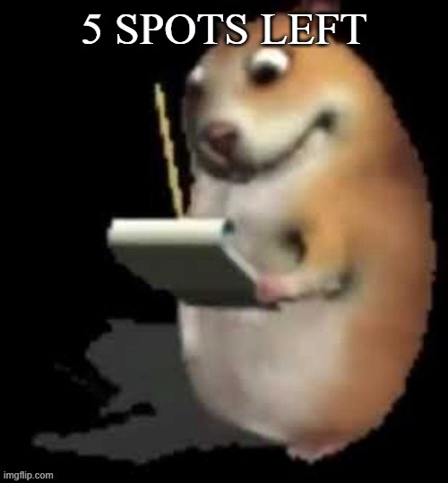 a | 5 SPOTS LEFT | image tagged in chomik type | made w/ Imgflip meme maker