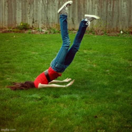 faceplant | image tagged in faceplant | made w/ Imgflip meme maker
