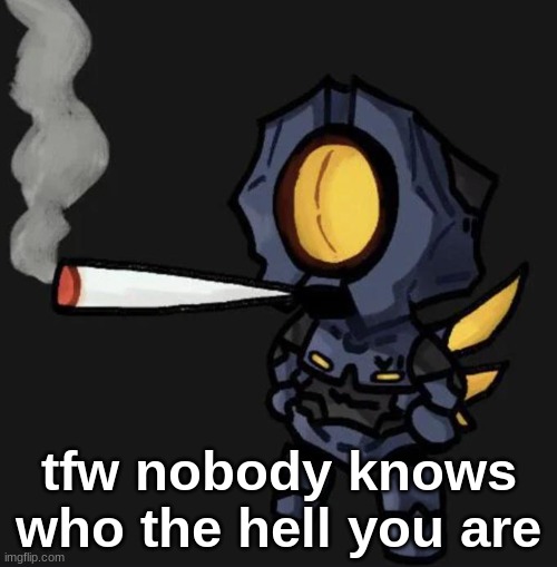 im friends with a maximum of like... 3 users? idk. | tfw nobody knows who the hell you are | image tagged in v1 smoking a fat one | made w/ Imgflip meme maker
