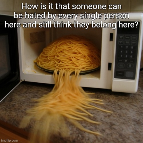 spaghetti al microonde | How is it that someone can be hated by every single person here and still think they belong here? | image tagged in spaghetti al microonde | made w/ Imgflip meme maker