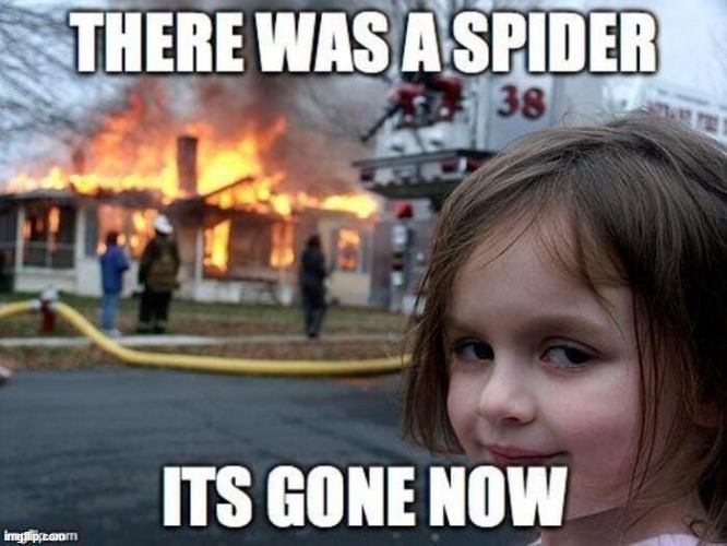 Meme | image tagged in funny,funny memes,fun,funny meme | made w/ Imgflip meme maker