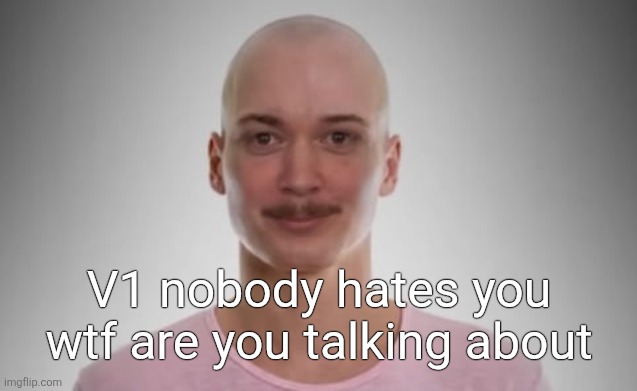 Bald Jimmyhere | V1 nobody hates you wtf are you talking about | image tagged in bald jimmyhere | made w/ Imgflip meme maker