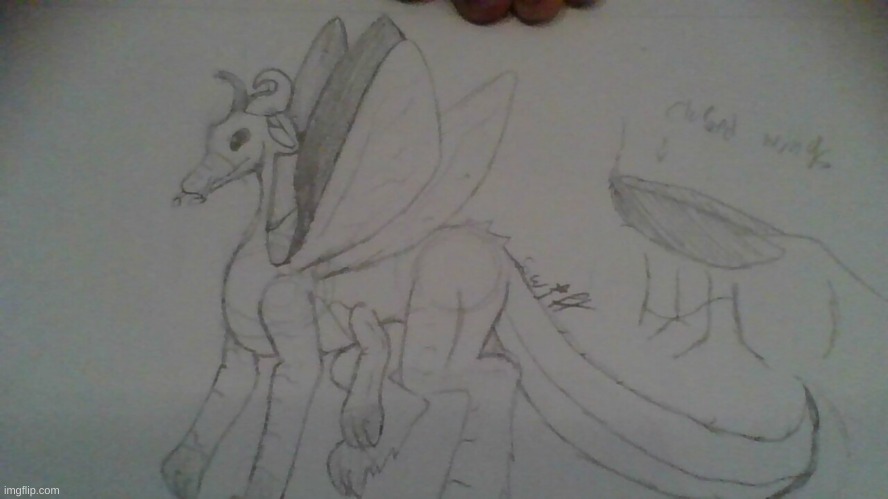 cricket dragon | made w/ Imgflip meme maker