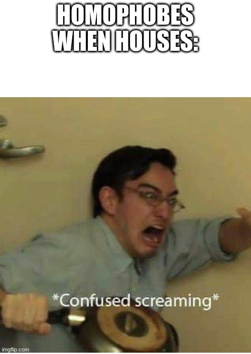 confused screaming | HOMOPHOBES WHEN HOUSES: | image tagged in confused screaming | made w/ Imgflip meme maker