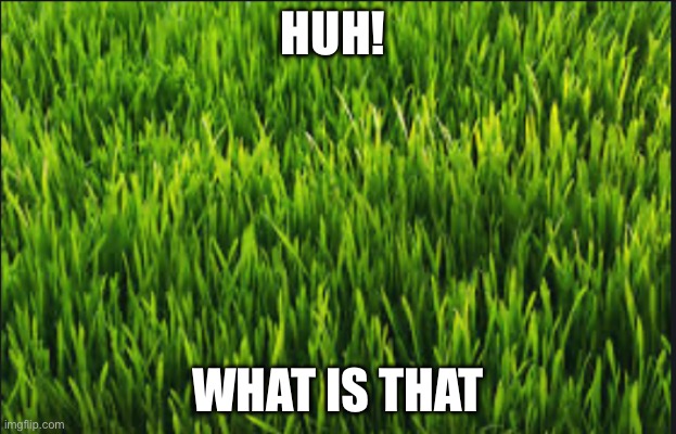 Grass disgusting | HUH! WHAT IS THAT | image tagged in the scroll of truth | made w/ Imgflip meme maker