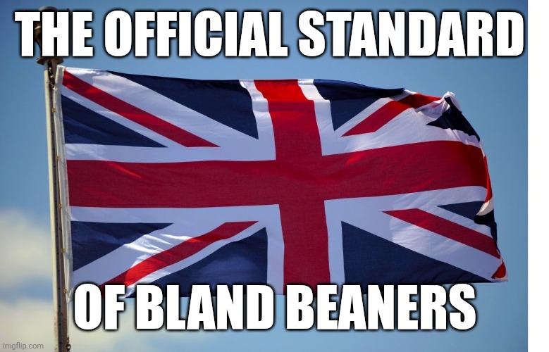 Your cooking is horrible | THE OFFICIAL STANDARD; OF BLAND BEANERS | image tagged in british flag,don't be a grimey limey,learn to cook | made w/ Imgflip meme maker