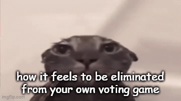 Sad Cat - Imgflip