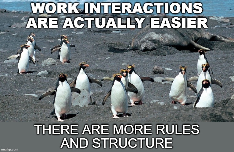 macaroni penguins | WORK INTERACTIONS
ARE ACTUALLY EASIER THERE ARE MORE RULES
AND STRUCTURE | image tagged in macaroni penguins | made w/ Imgflip meme maker