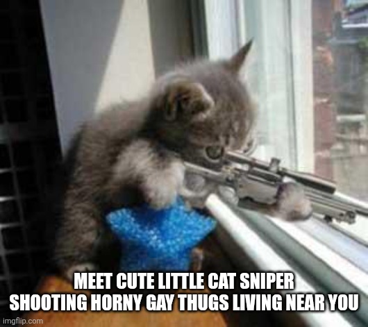 CatSniper | MEET CUTE LITTLE CAT SNIPER SHOOTING HORNY GAY THUGS LIVING NEAR YOU | image tagged in catsniper | made w/ Imgflip meme maker