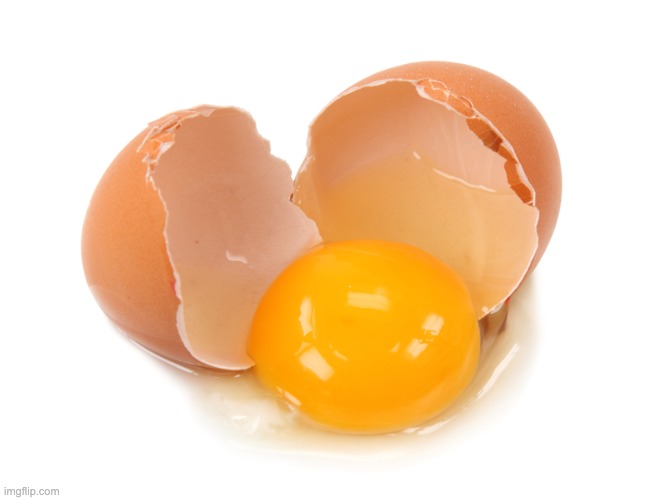 broken egg | image tagged in broken egg | made w/ Imgflip meme maker