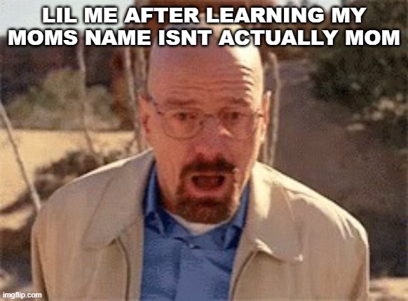 Walter White | LIL ME AFTER LEARNING MY MOMS NAME ISNT ACTUALLY MOM | image tagged in walter white | made w/ Imgflip meme maker