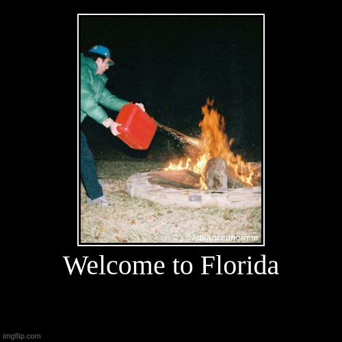 Welcome to Florida | | image tagged in funny,demotivationals | made w/ Imgflip demotivational maker