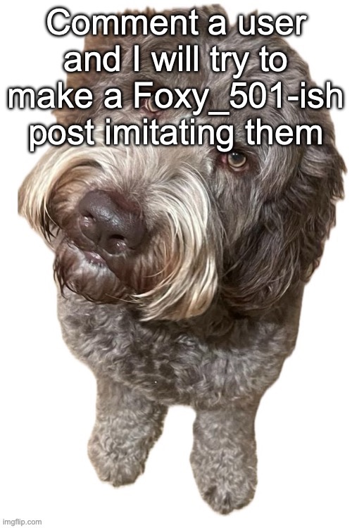 Norther's dog | Comment a user and I will try to make a Foxy_501-ish post imitating them | image tagged in norther's dog | made w/ Imgflip meme maker