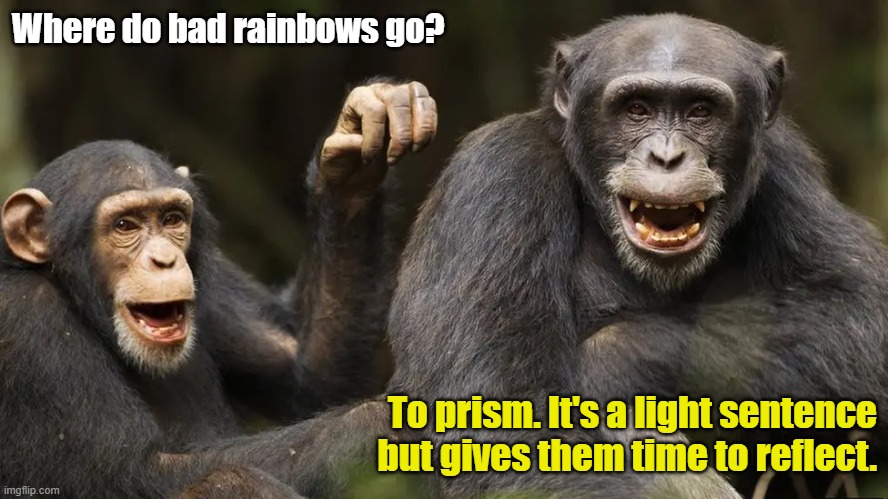 Rainbow humor | Where do bad rainbows go? To prism. It's a light sentence but gives them time to reflect. | image tagged in funny | made w/ Imgflip meme maker