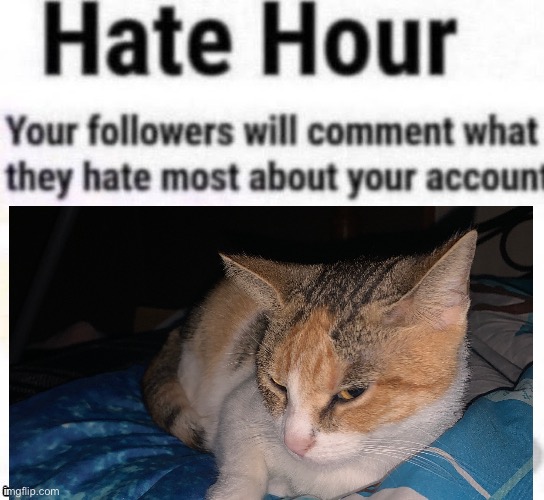 Hate hour | image tagged in hate hour | made w/ Imgflip meme maker