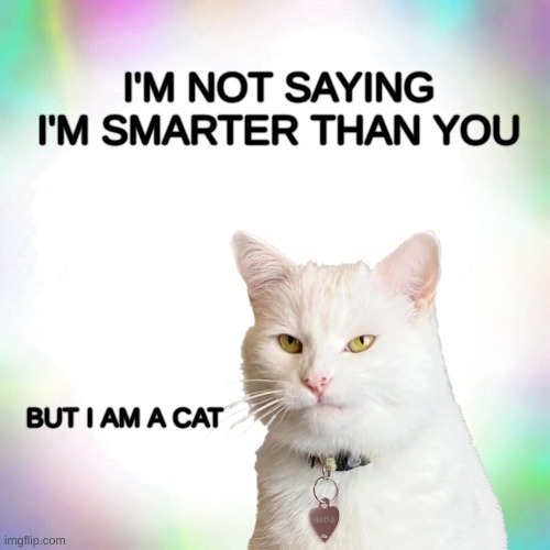 I am Smarter | I'M NOT SAYING I'M SMARTER THAN YOU; BUT I AM A CAT | image tagged in smudge the cat,smart,you may have outsmarted me but i outsmarted your understanding,cats are awesome,i pity the fool,just sayin' | made w/ Imgflip meme maker