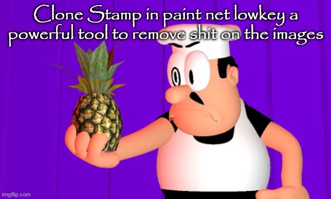Clone Stamp in paint net lowkey a powerful tool to remove shit on the images | made w/ Imgflip meme maker