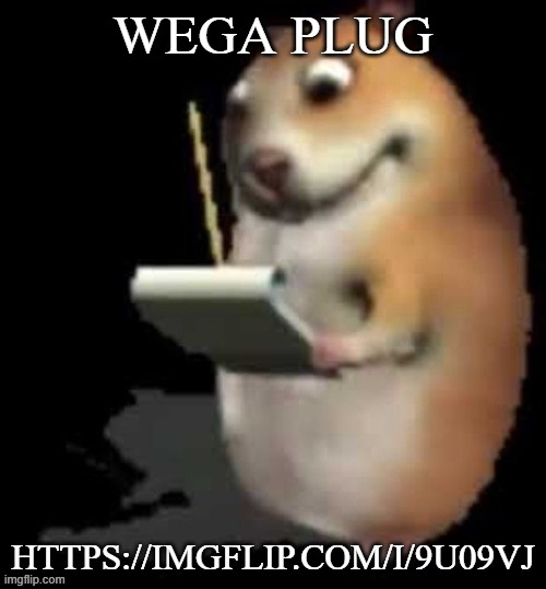 a | WEGA PLUG; HTTPS://IMGFLIP.COM/I/9U09VJ | image tagged in chomik type | made w/ Imgflip meme maker