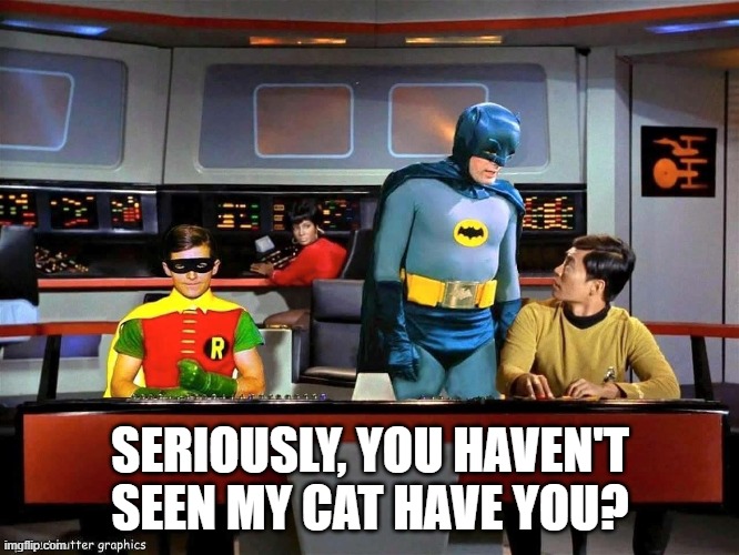 Sulu Ate Batman's Cat | SERIOUSLY, YOU HAVEN'T SEEN MY CAT HAVE YOU? | image tagged in batman star trek | made w/ Imgflip meme maker