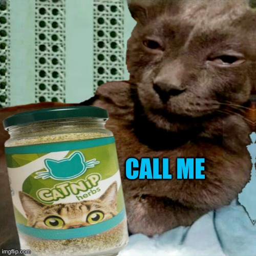 Shit Poster 4 Lyfe | CALL ME | image tagged in shit poster 4 lyfe | made w/ Imgflip meme maker