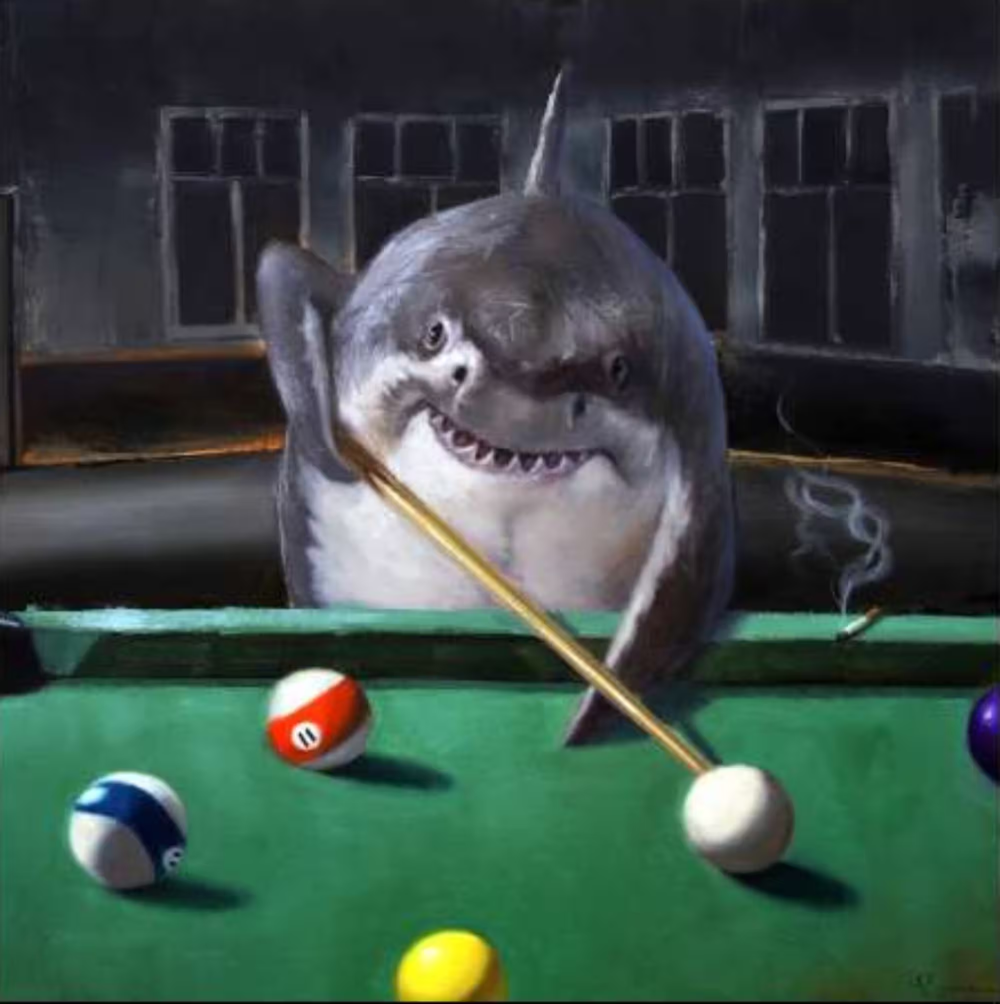shark pool Blank Meme Template
