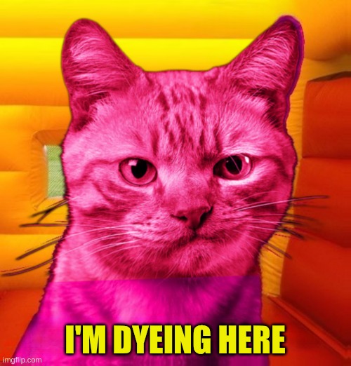 Pink Ray Cat | I'M DYEING HERE | image tagged in pink ray cat | made w/ Imgflip meme maker
