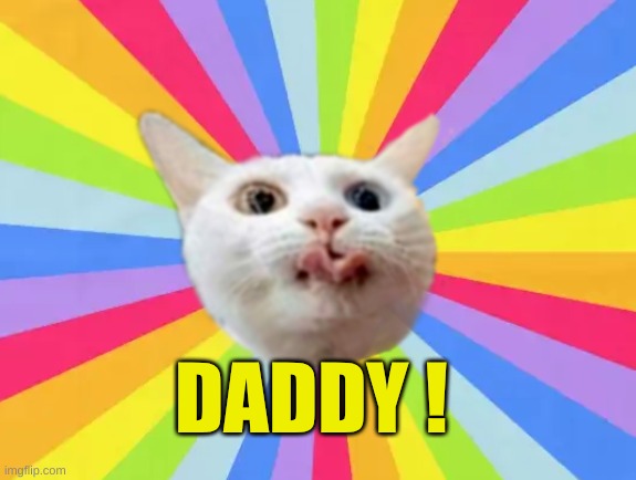 DADDY ! | image tagged in cat lick | made w/ Imgflip meme maker