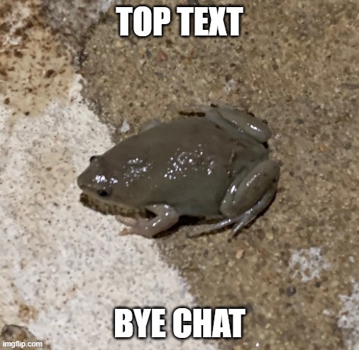 fog | TOP TEXT; BYE CHAT | image tagged in fog | made w/ Imgflip meme maker