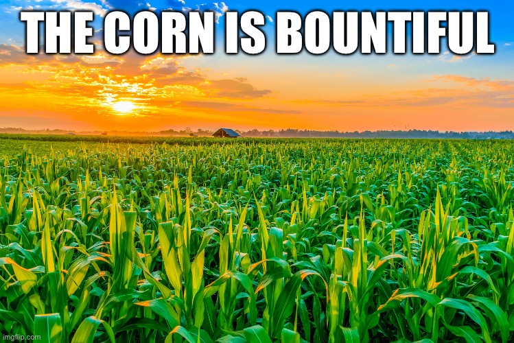 THE CORN IS BOUNTIFUL | made w/ Imgflip meme maker