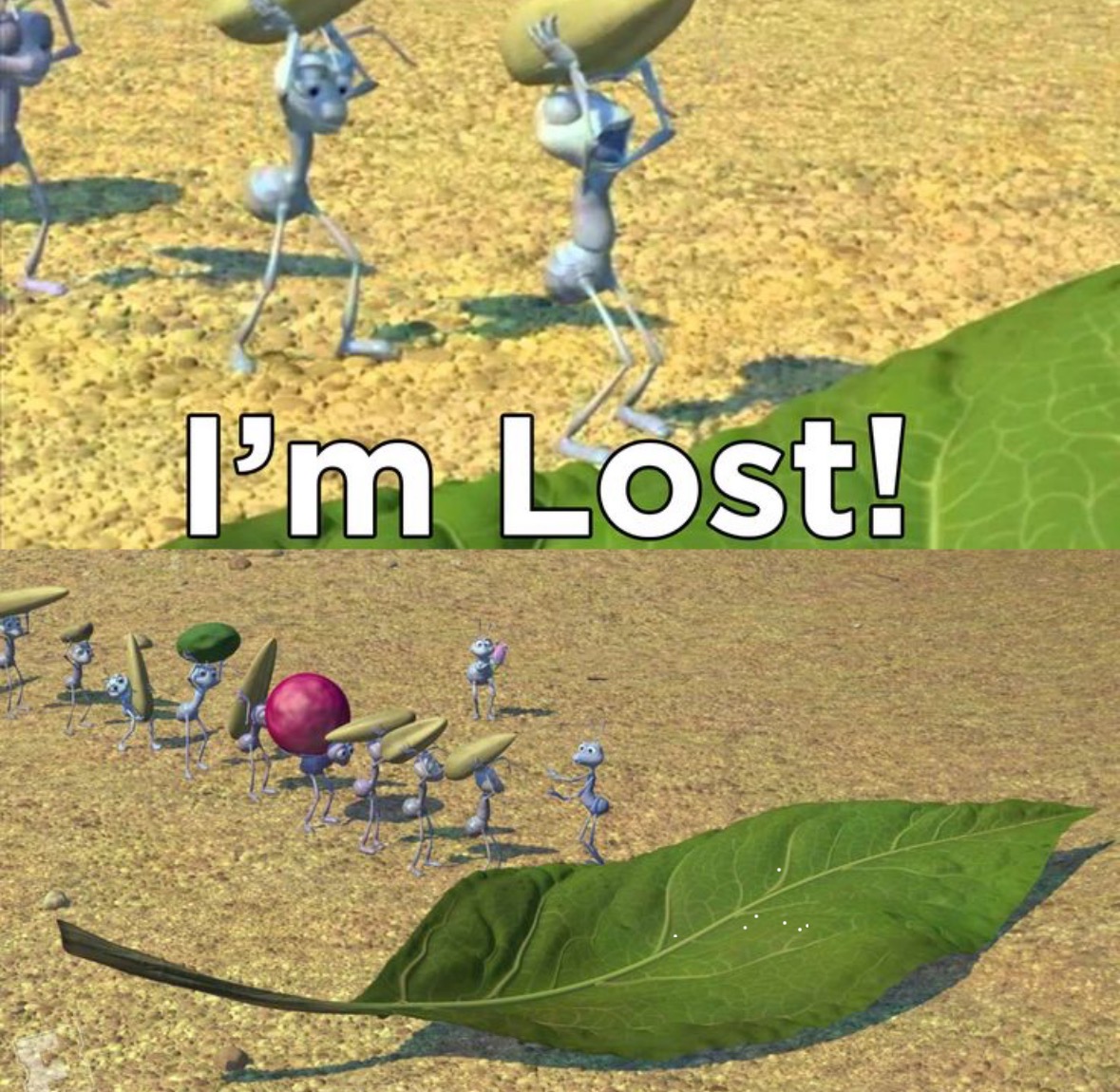 A bugs life I’m lost Blank Meme Template