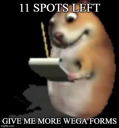 a | 11 SPOTS LEFT; GIVE ME MORE WEGA FORMS | image tagged in chomik type | made w/ Imgflip meme maker