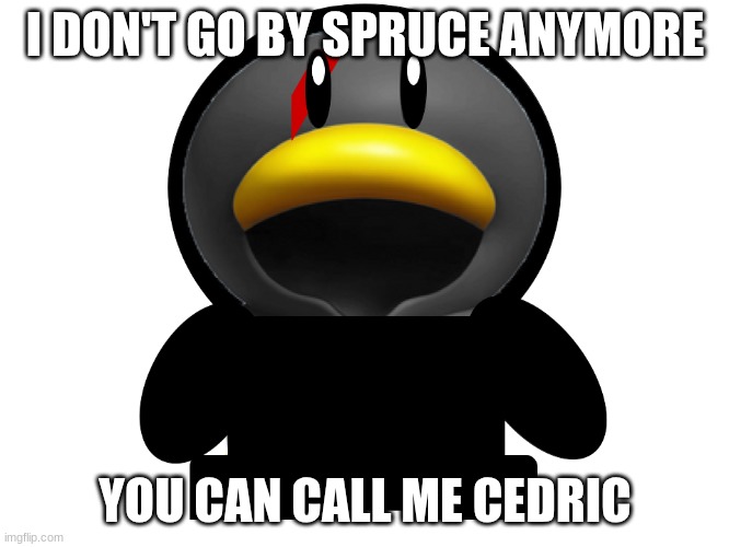 GUESS WHO'S BACK | I DON'T GO BY SPRUCE ANYMORE; YOU CAN CALL ME CEDRIC | image tagged in spruce the penguin | made w/ Imgflip meme maker