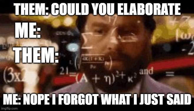 Could you elaborate | THEM: COULD YOU ELABORATE; ME:; THEM:; ME: NOPE I FORGOT WHAT I JUST SAID | image tagged in zach galifianakis hangover math,nope | made w/ Imgflip meme maker
