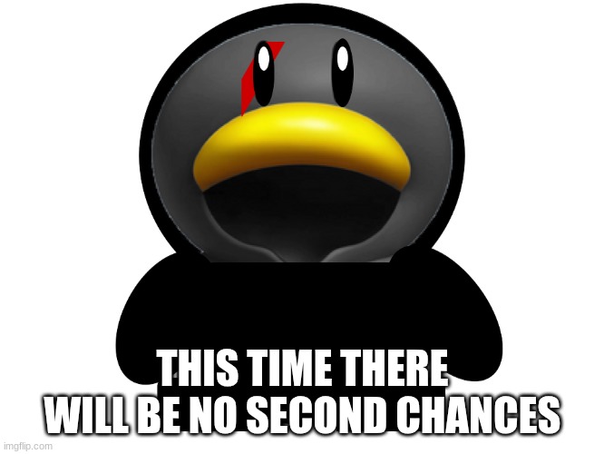 I AM DOWNRIGHT SERIOUS | THIS TIME THERE WILL BE NO SECOND CHANCES | image tagged in spruce the penguin | made w/ Imgflip meme maker