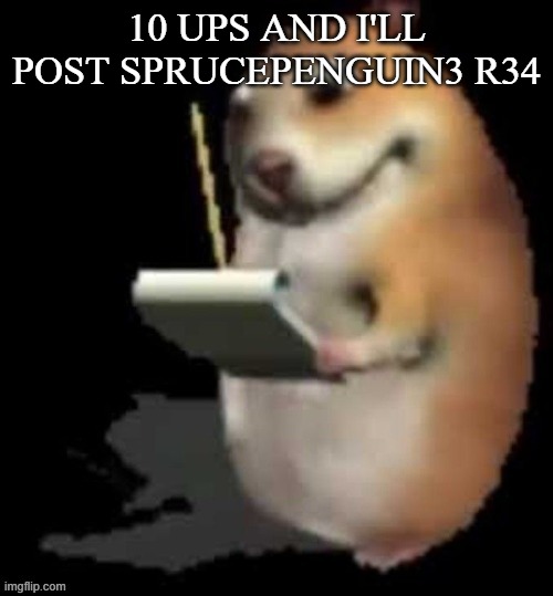 Chomik type | 10 UPS AND I'LL POST SPRUCEPENGUIN3 R34 | image tagged in chomik type | made w/ Imgflip meme maker