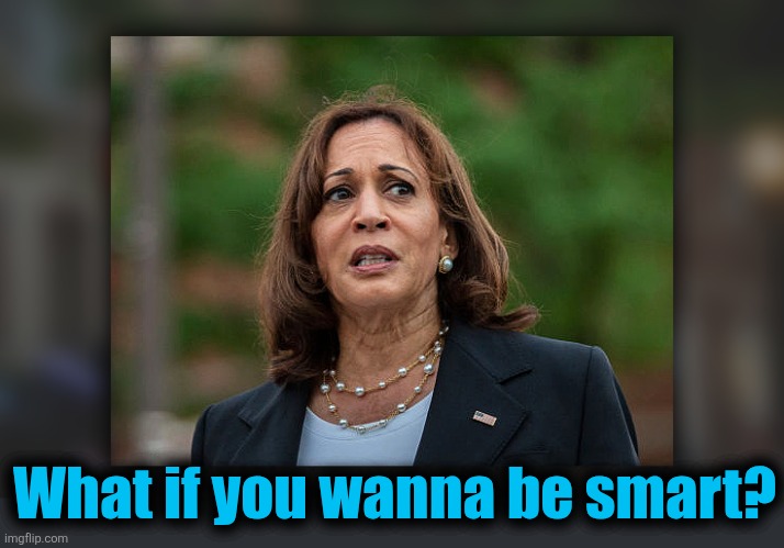 What if you wanna be smart? | made w/ Imgflip meme maker