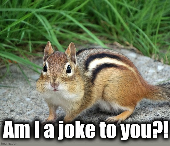 Am I a joke to you?! | made w/ Imgflip meme maker