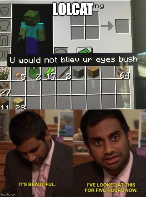 lolcat fireflies | LOLCAT | image tagged in i've looked at this for 5 hours now,minecraft,firefly | made w/ Imgflip meme maker