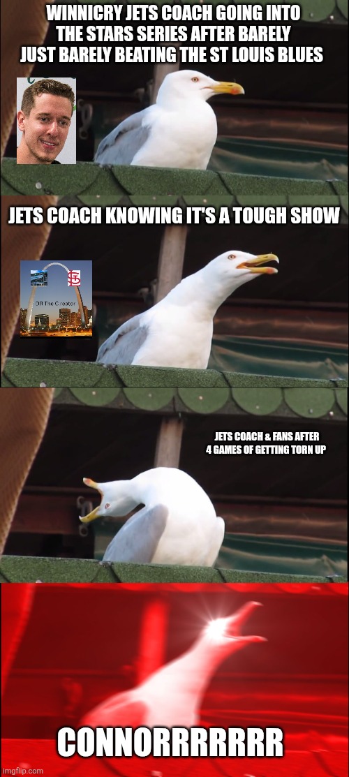 Ice Hockey | WINNICRY JETS COACH GOING INTO THE STARS SERIES AFTER BARELY JUST BARELY BEATING THE ST LOUIS BLUES; JETS COACH KNOWING IT'S A TOUGH SHOW; JETS COACH & FANS AFTER 4 GAMES OF GETTING TORN UP; CONNORRRRRRR | image tagged in memes,inhaling seagull,ice hockey | made w/ Imgflip meme maker
