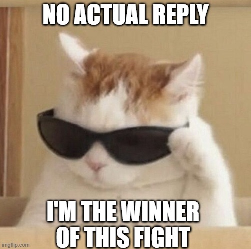 NO ACTUAL REPLY I'M THE WINNER OF THIS FIGHT | image tagged in cool cat | made w/ Imgflip meme maker