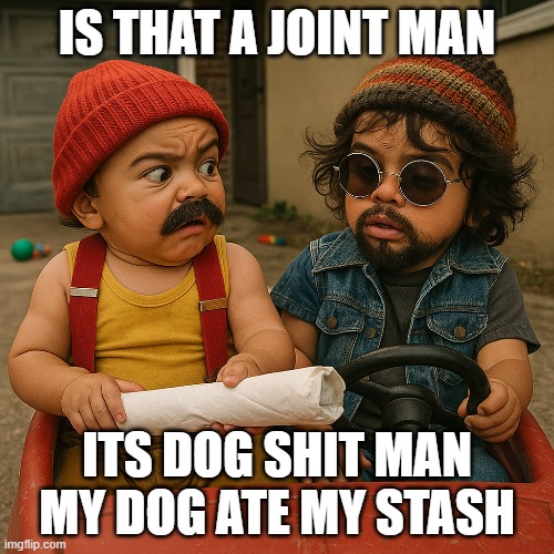 BABY CHEECHA ND CHONG | IS THAT A JOINT MAN; ITS DOG SHIT MAN MY DOG ATE MY STASH | image tagged in cheech and chong,weed,party | made w/ Imgflip meme maker