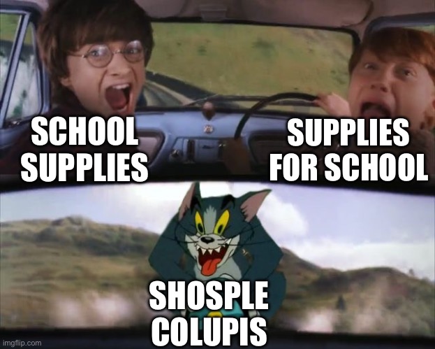 Tom chasing Harry and Ron Weasly | SCHOOL SUPPLIES SUPPLIES FOR SCHOOL SHOSPLE COLUPIS | image tagged in tom chasing harry and ron weasly | made w/ Imgflip meme maker