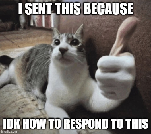 cat thumbs up | I SENT THIS BECAUSE IDK HOW TO RESPOND TO THIS | image tagged in cat thumbs up | made w/ Imgflip meme maker