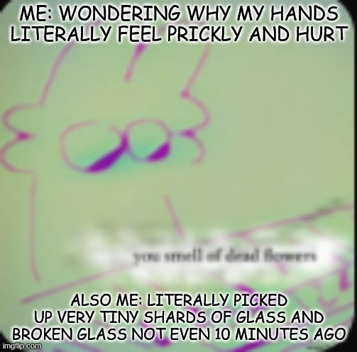 lol don't worry, me just a dumb dumb, anyone else done something like this? | ME: WONDERING WHY MY HANDS LITERALLY FEEL PRICKLY AND HURT; ALSO ME: LITERALLY PICKED UP VERY TINY SHARDS OF GLASS AND BROKEN GLASS NOT EVEN 10 MINUTES AGO | image tagged in alt ig | made w/ Imgflip meme maker