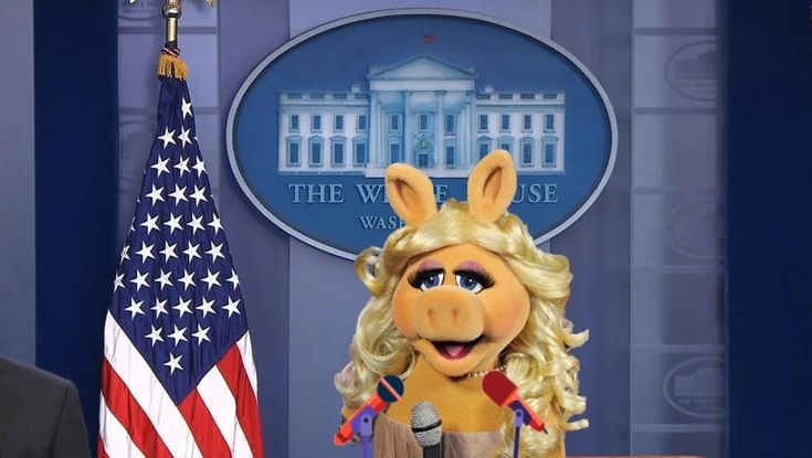 TRUMP PRESS SECRETARY Blank Meme Template