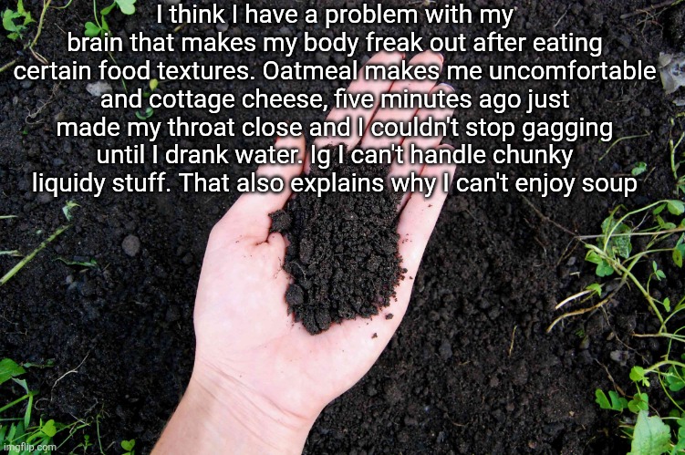 LOAM | I think I have a problem with my brain that makes my body freak out after eating certain food textures. Oatmeal makes me uncomfortable and cottage cheese, five minutes ago just made my throat close and I couldn't stop gagging until I drank water. Ig I can't handle chunky liquidy stuff. That also explains why I can't enjoy soup | image tagged in loam | made w/ Imgflip meme maker