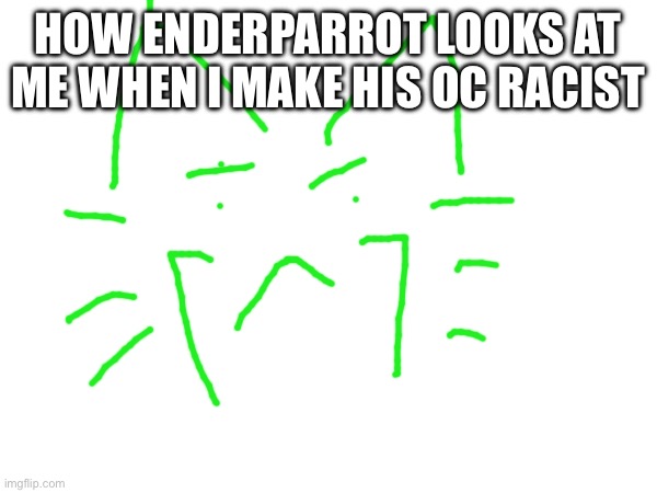 HOW ENDERPARROT LOOKS AT ME WHEN I MAKE HIS OC RACIST | made w/ Imgflip meme maker